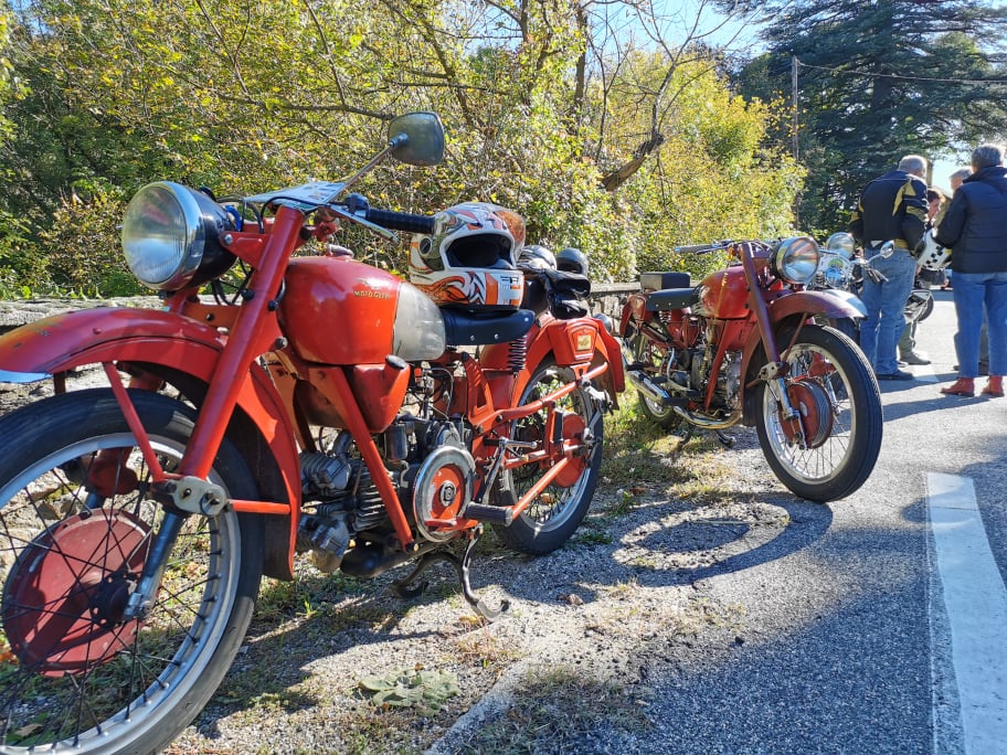 Guzzi.jpg